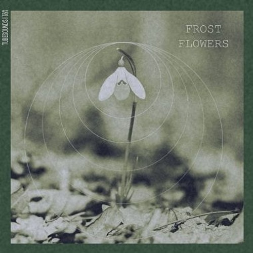 Misty Morning (co-written with Amy Jane Hosken)