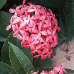 mình em bên những tháng năm...