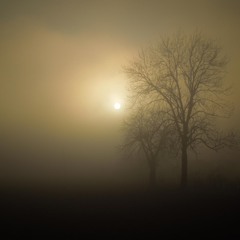 Another Kind of Drift