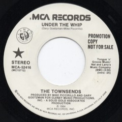 THE TOWNSENDS  Under The Whip 7_ (promo)  US  MCA RECS  1984