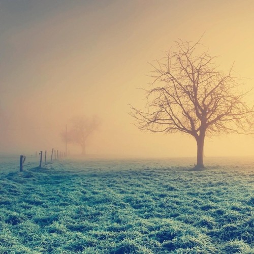 ⟐ Progressive Trance Mix ⟐ DEW POINT [60k+ clicks on YouTube, melodic morning set] [set 06]