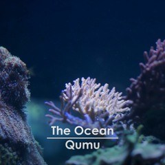 E.V.O. Search for Eden - The Ocean [Remix]