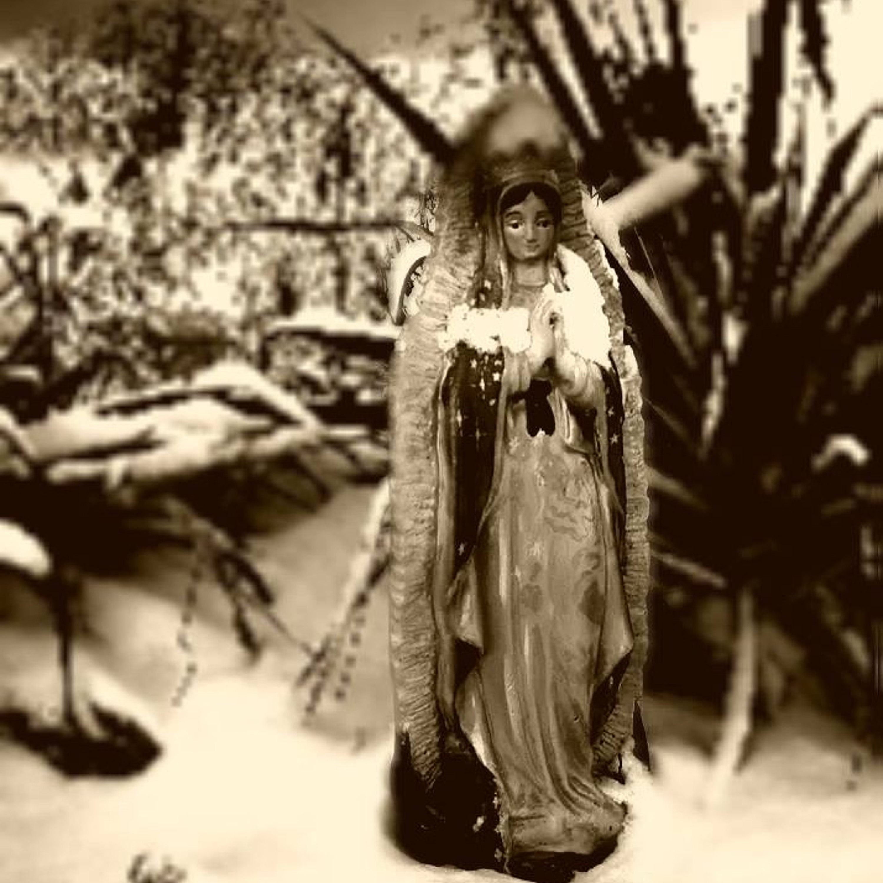 Healing Songs and Chants from the Alternate Universe Terri Sings With Ravens