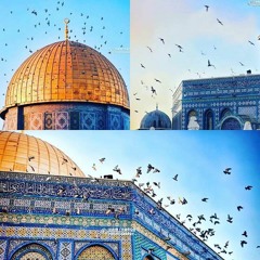 أشتاق - ميس شلش وايمن رمضان