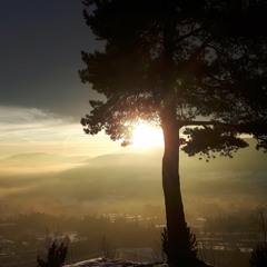 Winter Dreams