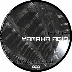 Dylab - Yamaha Acid FNOOB DiGiTAL 003