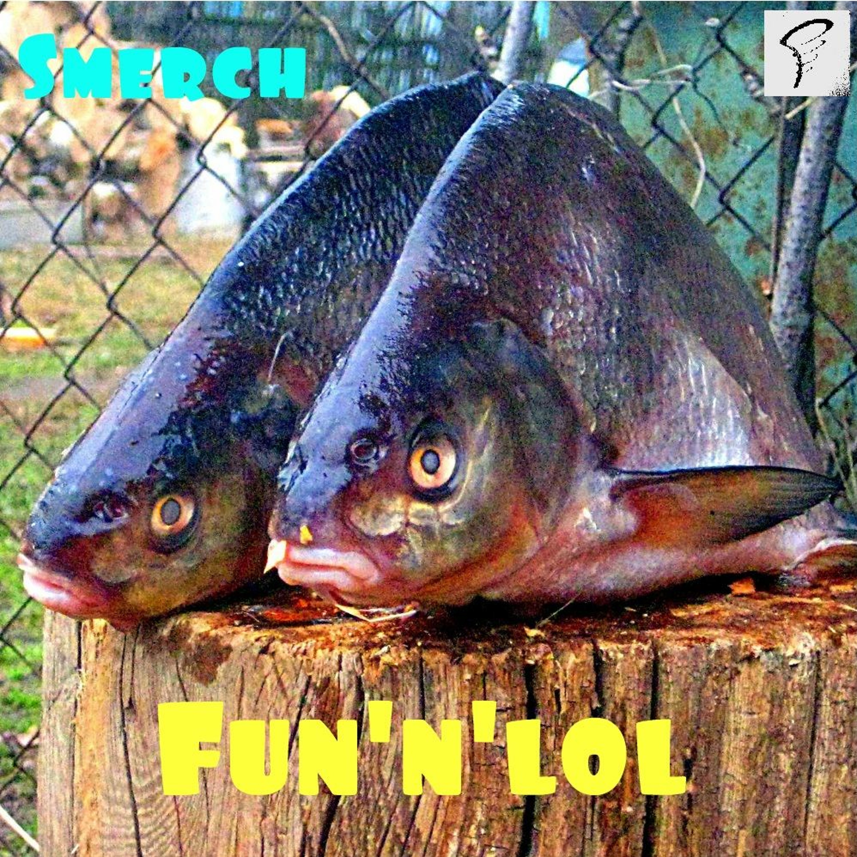Fun'n'lol episode artwork