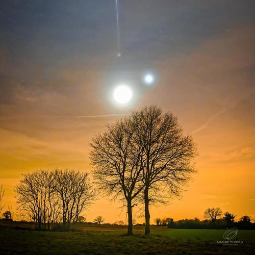 ░░▒▓███► Weeklyz #2 ツ 02/17 ◄███▓▒░░