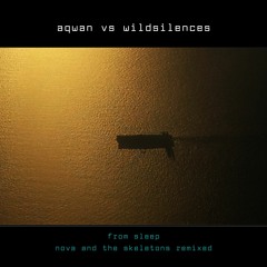 wildsilences - i wish - aqwan mix