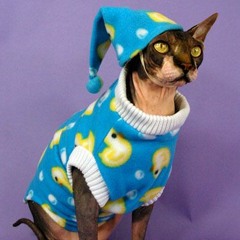 Cat's Pajamas (Prod. ColeTrain)