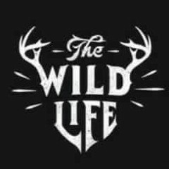 G-Sean ft Nerval All I Need[WildLife]..2..mp3