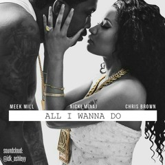 All I Wanna Do (Ft. Nicki Minaj and Chris Brown)