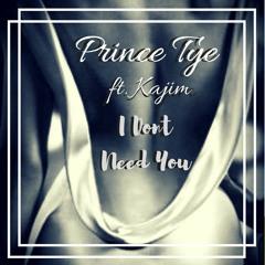 Dont Need You ft. Kajim