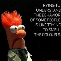 Ill Sleep When Im Dead ALPHA