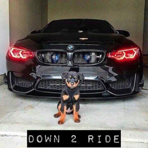 Down 2 Ride - PROPH3T Ft Niddy