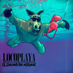 Locoplaya - Los Porros No Dan Sueño