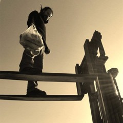 Mexican Stepper - Dark Knight /Botanic remix/