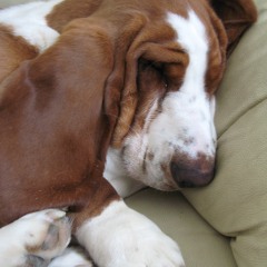 mix techno minimal prog(freedownload )