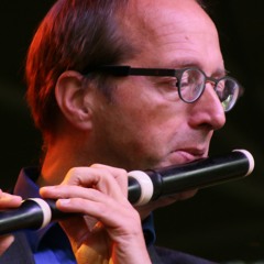 CPE Bach Concerto in d minor for flute, strings and basso continuo