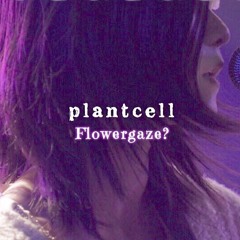 Snow and Luculia(Rebuild)