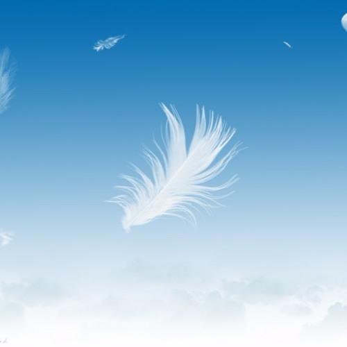 Мертвые Дельфины - Займи Мо Место, Примерь Мою Цену. Возьми Мою Руку, Сожми Мою Вену