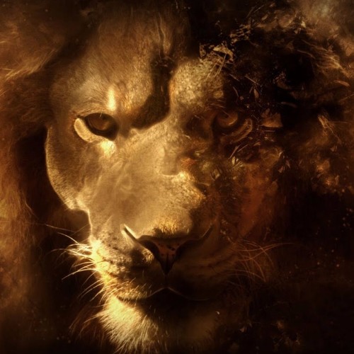 Stolen Dub (final version)