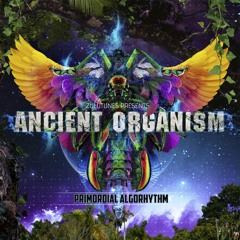08. Primordial Algorhythm - 156 (Preview)