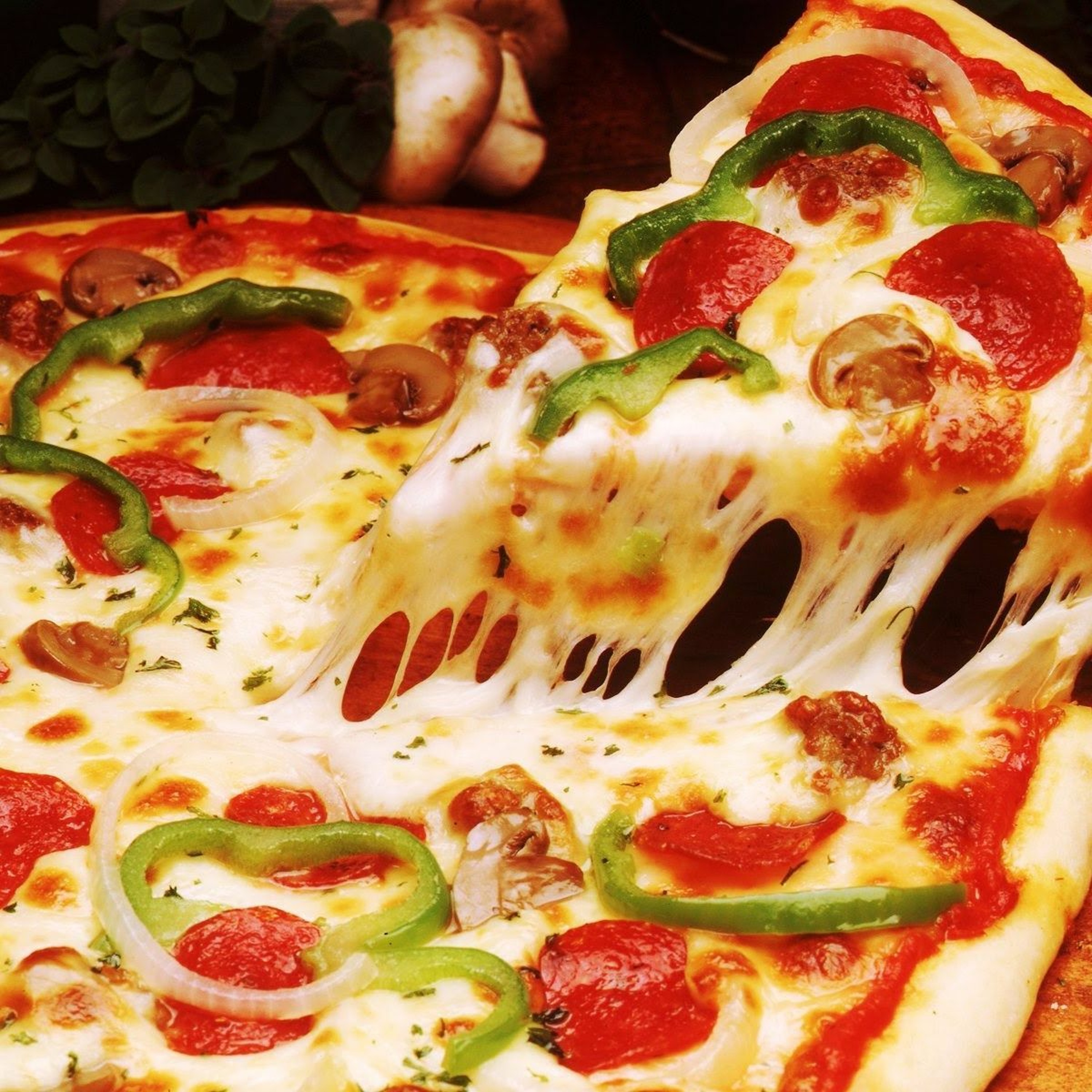 Pizza Forgivness Song episode artwork