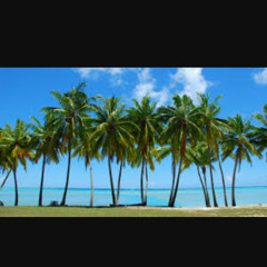 No View ft. ScottyFlightz x CWill2x Prod by. WaltB