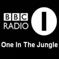 Danny Breaks & Randall: Live on One In The Jungle (17/10/1997)