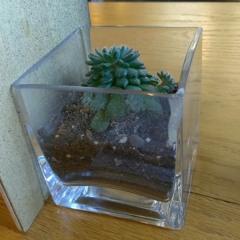 Guitar arpeggio practice