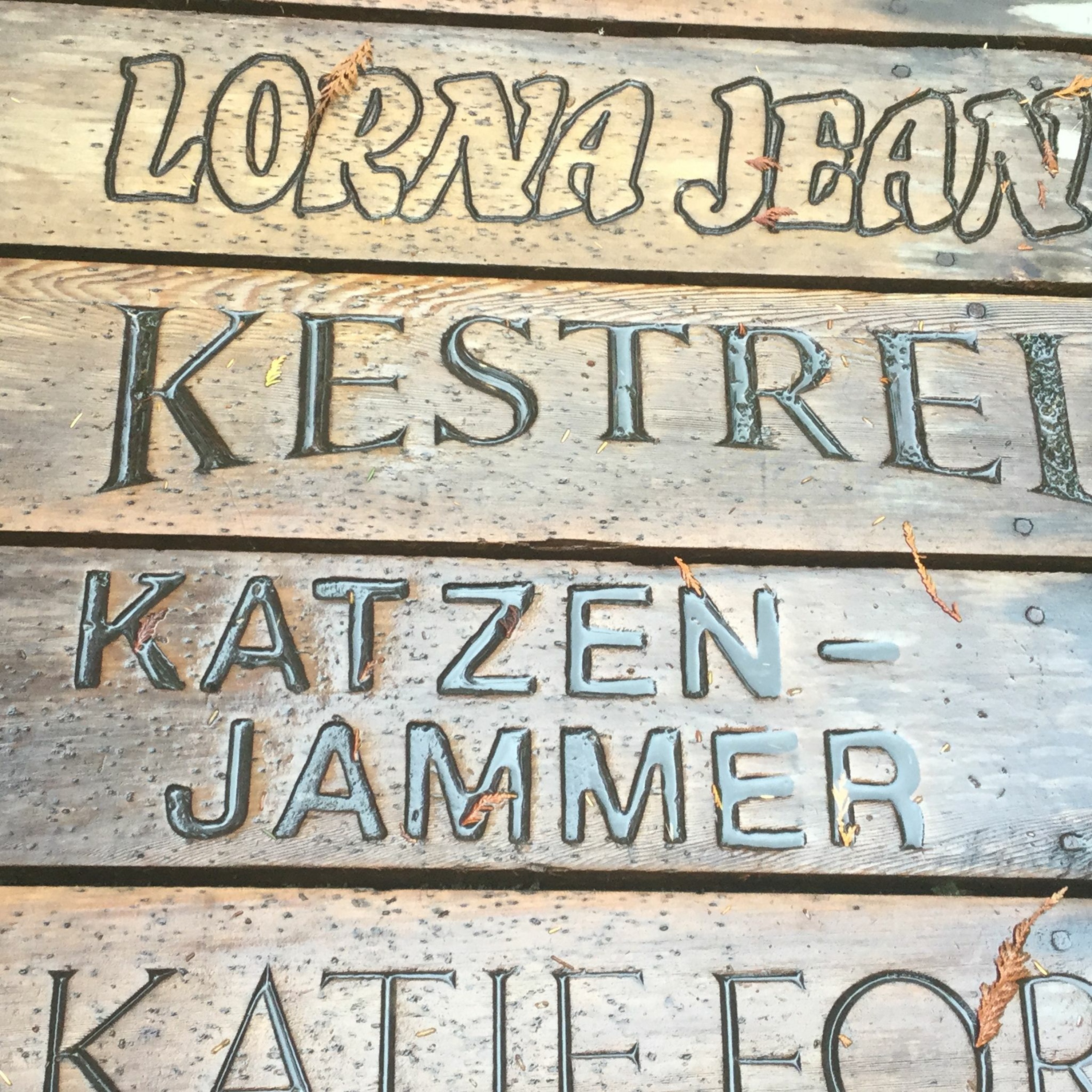 Katzenjammer episode artwork