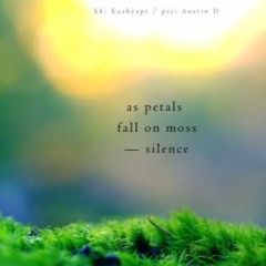 beginning [naviarhaiku163]