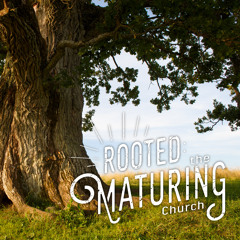 Rooted Week 7 | 1 Timothy 4:1-16