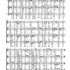 Dries Leys (1929): There's a star