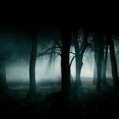 Where Are You Tonight?