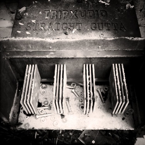 TripXudio - Straight Gutta (Original Mix) [FREE DL]