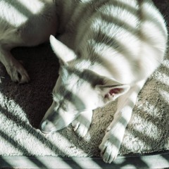 Chillhop & Instrumental