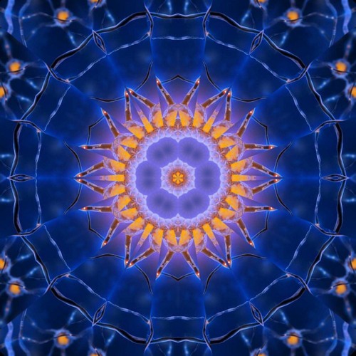 Cell Connections