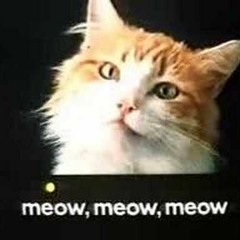 Meow, Meow, Meow (Remix) LOL @remixgodsuede