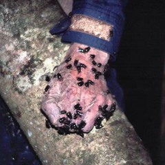 GHOSTOFBLU - NATURAL SELECTION (PROD. DEERGOD)