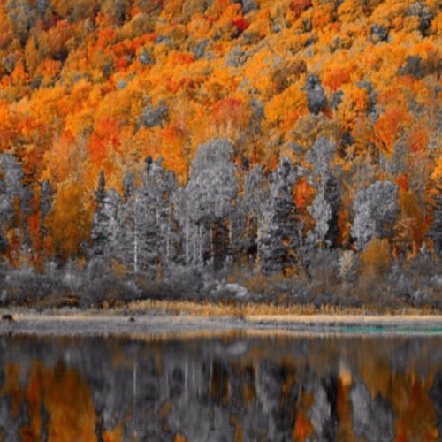 Lauv - Breathe (Slowed)