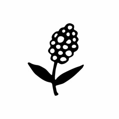 Audio interview with Pam Laricchia - Feb 2017