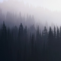 xxxtentacion - king remake / remix