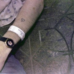 evening in good company