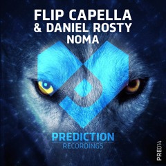 Flip Capella & Daniel Rosty - Noma