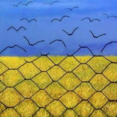 Гей, пливе кача