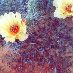 So Crazy In Love (Cover)