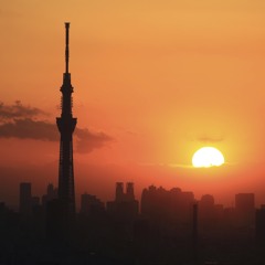 7!! - ORANGE