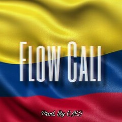 Flow Cali Pista de Reggeaton Prod.By. C.N.O